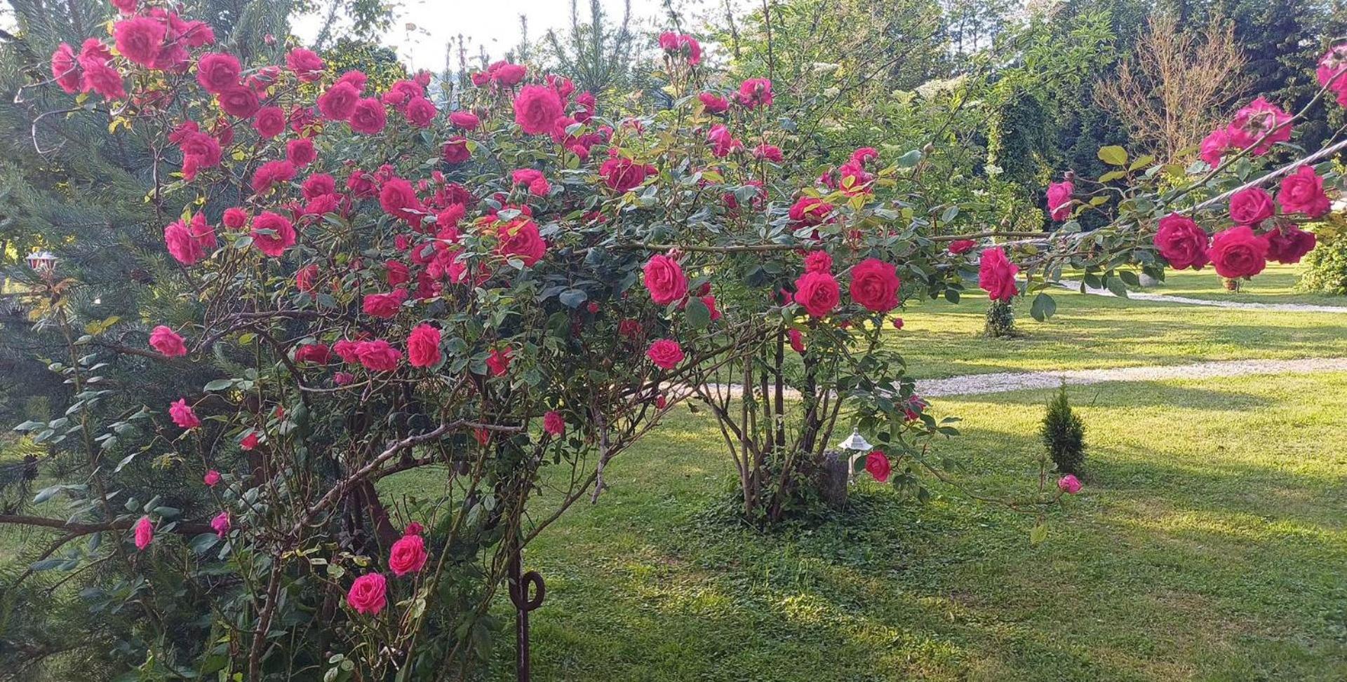 Edenski Vrt Ivancna Gorica Bagian luar foto