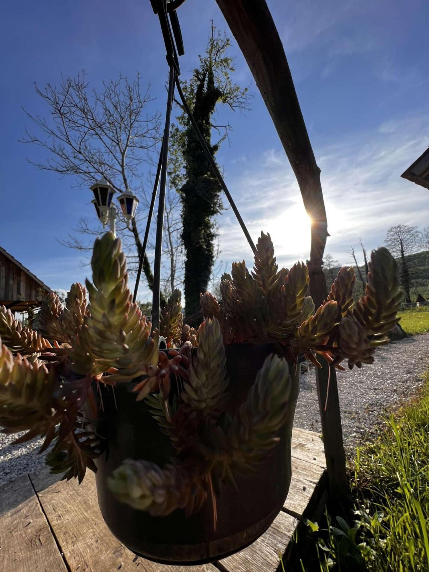 Edenski Vrt Ivancna Gorica Bagian luar foto