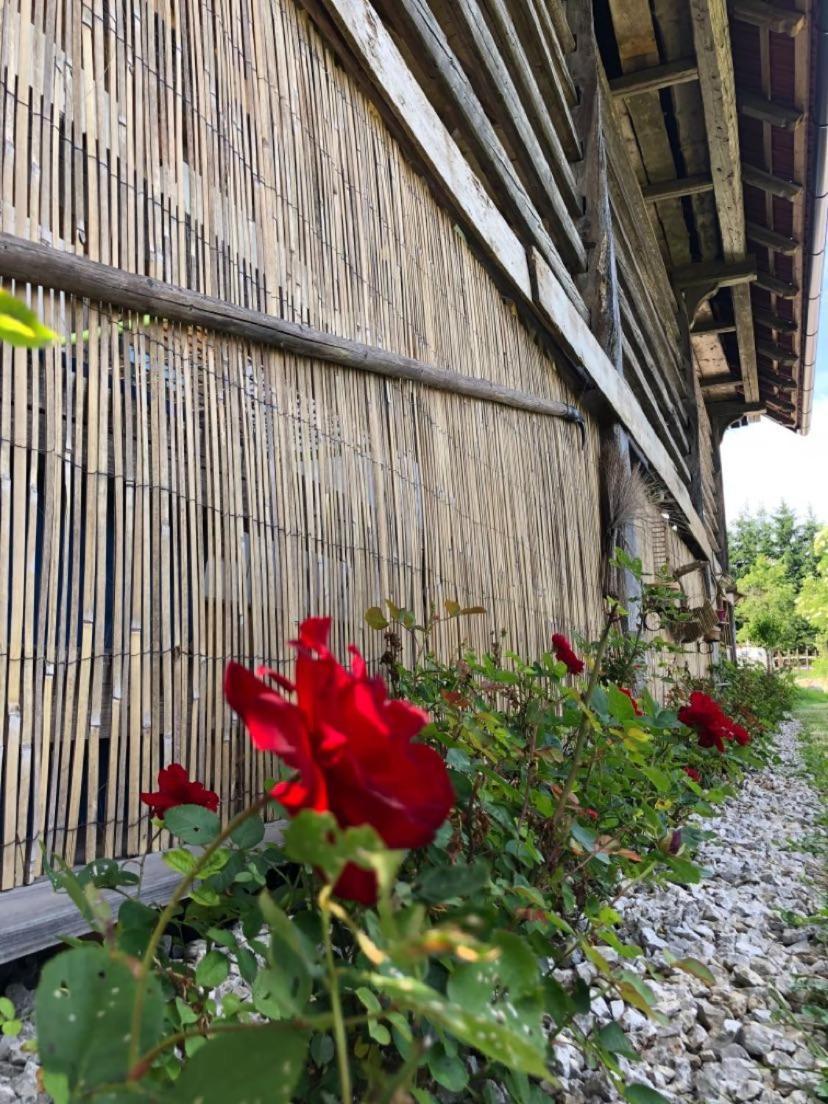Edenski Vrt Ivancna Gorica Bagian luar foto