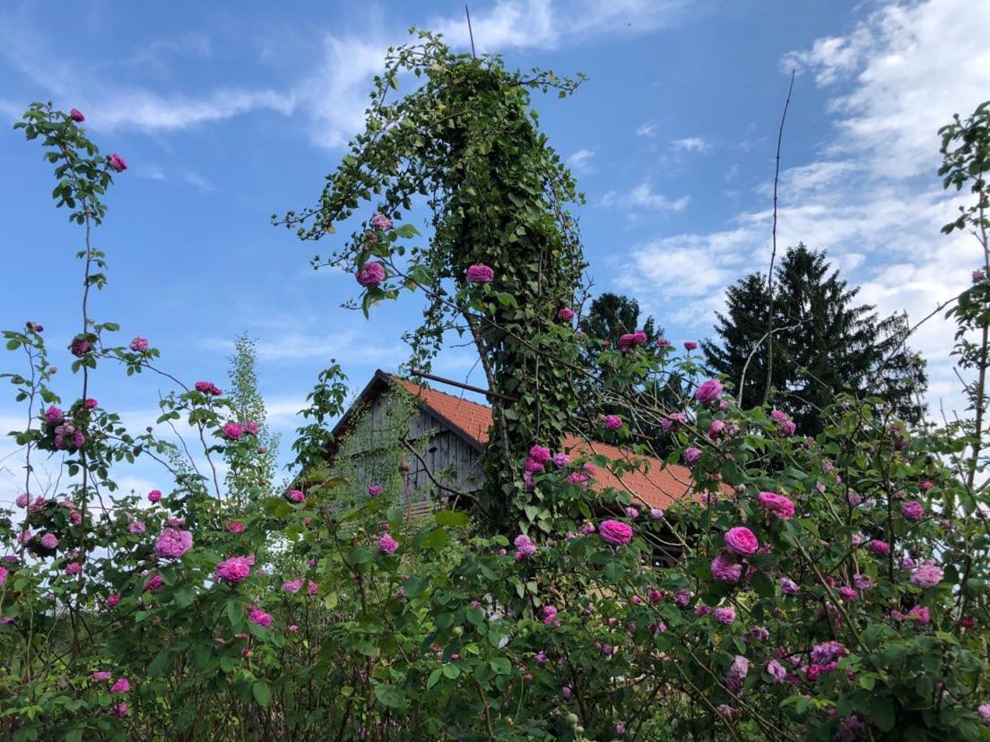 Edenski Vrt Ivancna Gorica Bagian luar foto